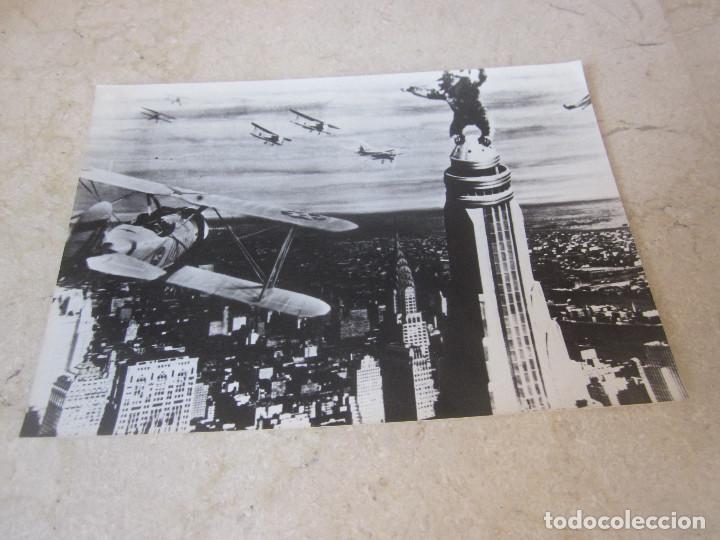 Cine: FOTO KING KONG