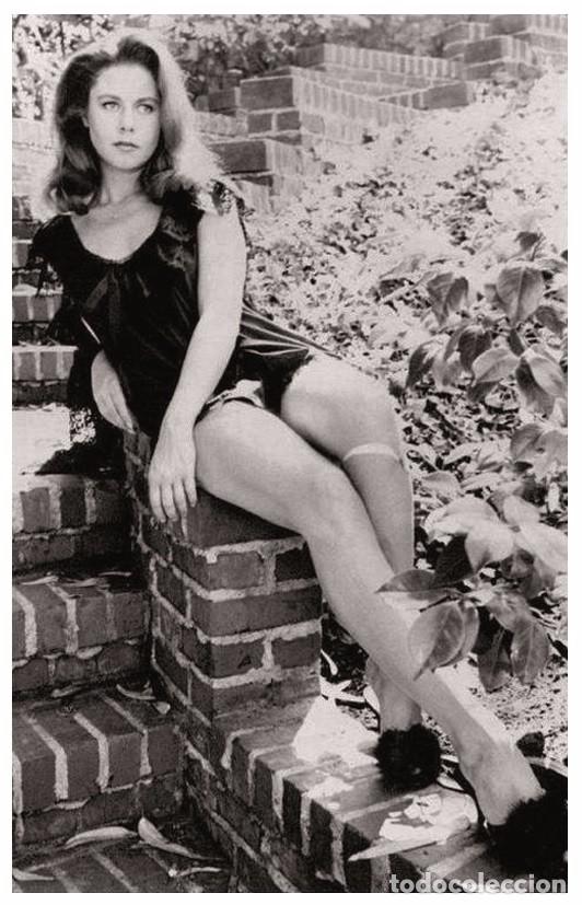 sexy elizabeth montgomery actress pin up photo - Buy Photos and