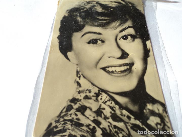 Kino: gulietta massina 3046 con funda protectora