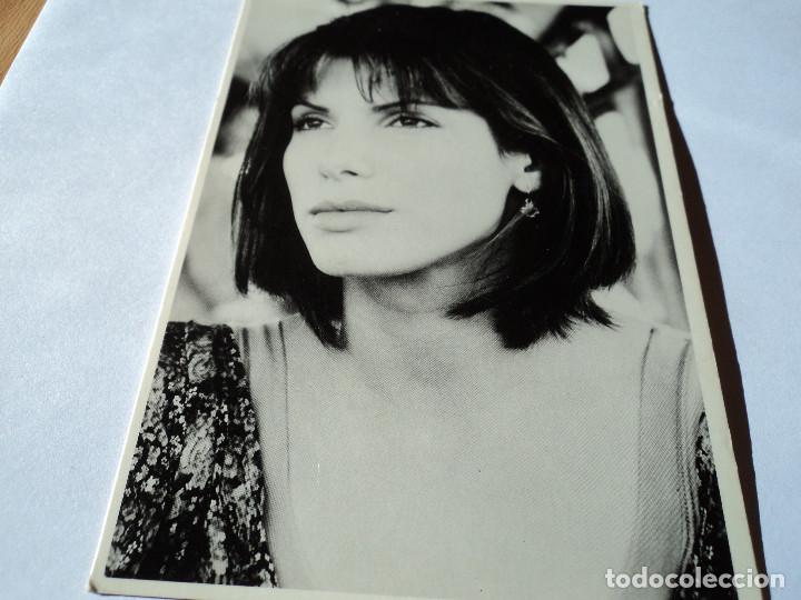 Cinema: sandra bullock canadian 314