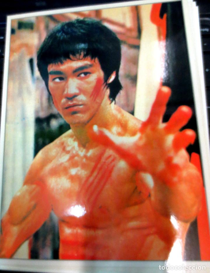 Cine: BRUCE LEE LAS FICHAS DE CACITEL N&ordm; 80