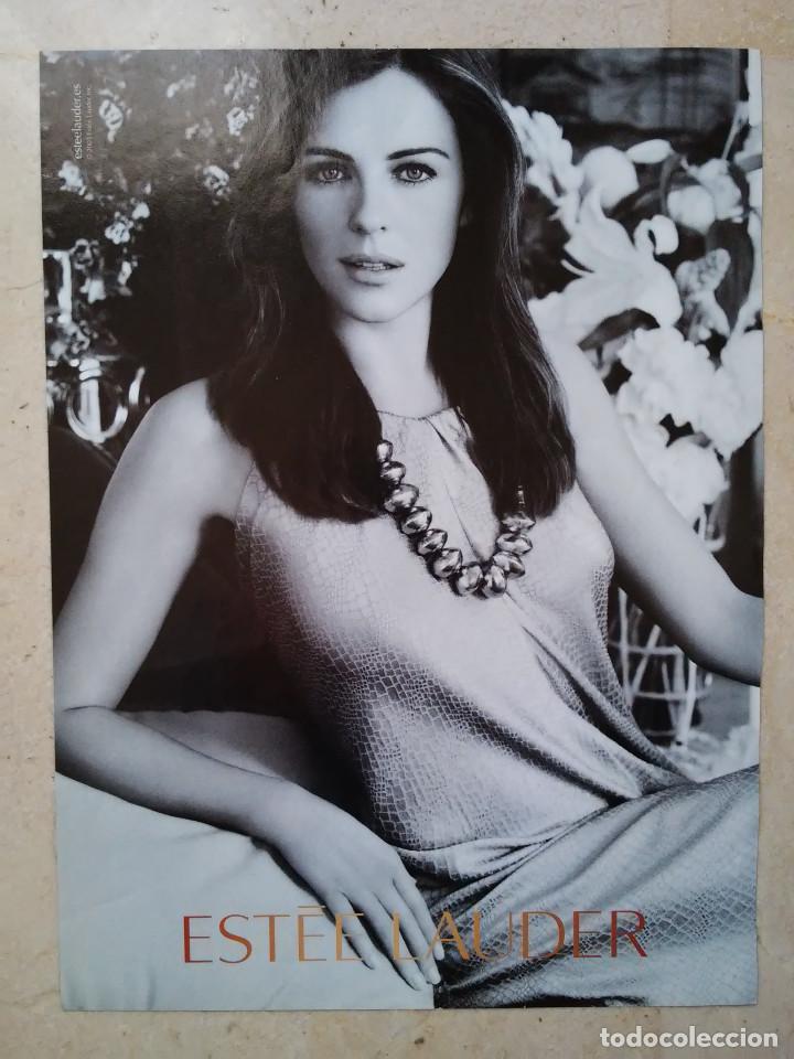 Cine: LAMINA ACARTONADA -A4- LIZ HURLEY