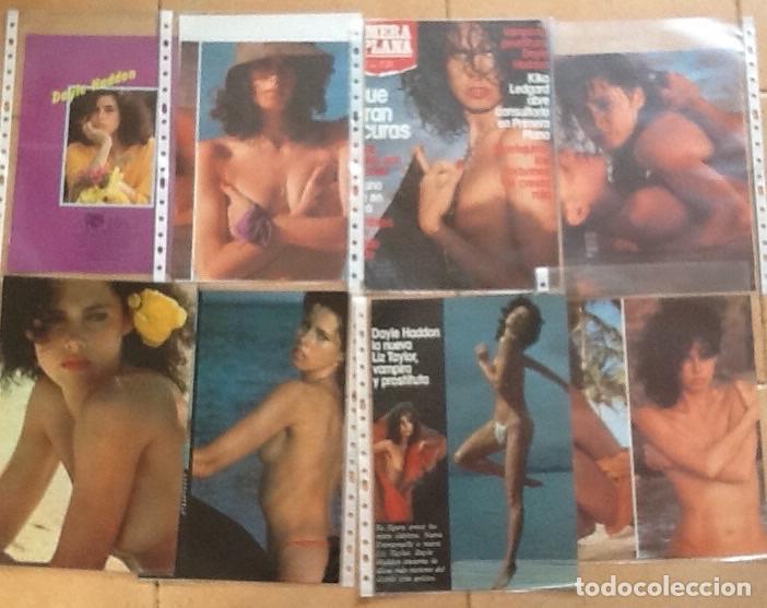 Cinema: DAYLE HADDON, 15 P&Aacute;GINAS DE RECORTES DE PRENSA EN FUNDAS DE PL&Aacute;STICO