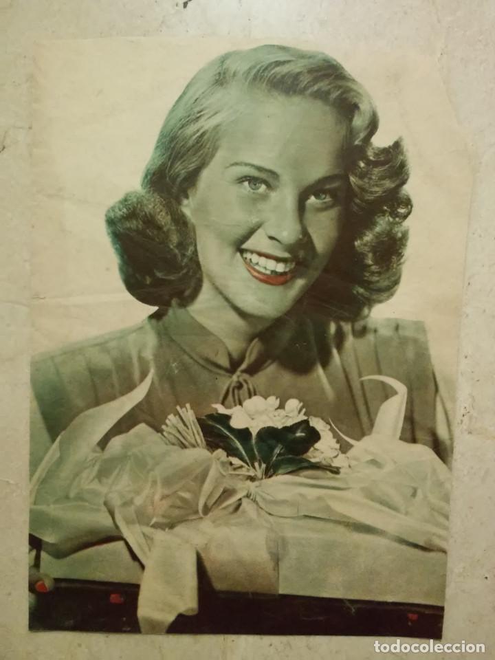 Cin&eacute;ma: ANTIGUA ANUNCIO ENCARTONADO -A4- ALIDA VALLI