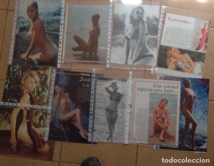 Cinema: JANET AGREEN, LOTE DE 17 P&Aacute;GINAS DE RECORTES DE PRENSA EN FUNDAS DE PL&Aacute;STICO