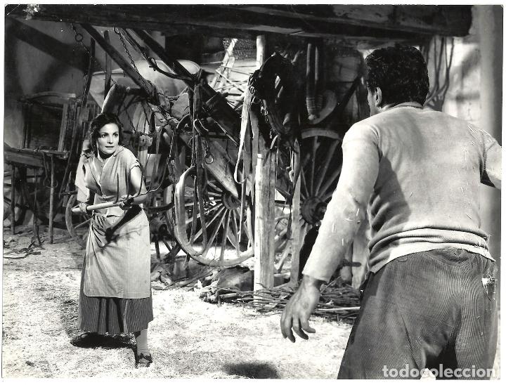 Cine: F25390 CARMEN SEVILLA ARNALDO FOA LA VENGANZA FOTO B/N ORIGINAL ESPA&Ntilde;OLA