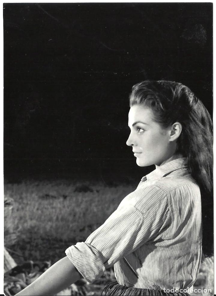 Cine: F25492 CARMEN SEVILLA FOTO B/N ORIGINAL ESPA&Ntilde;OLA