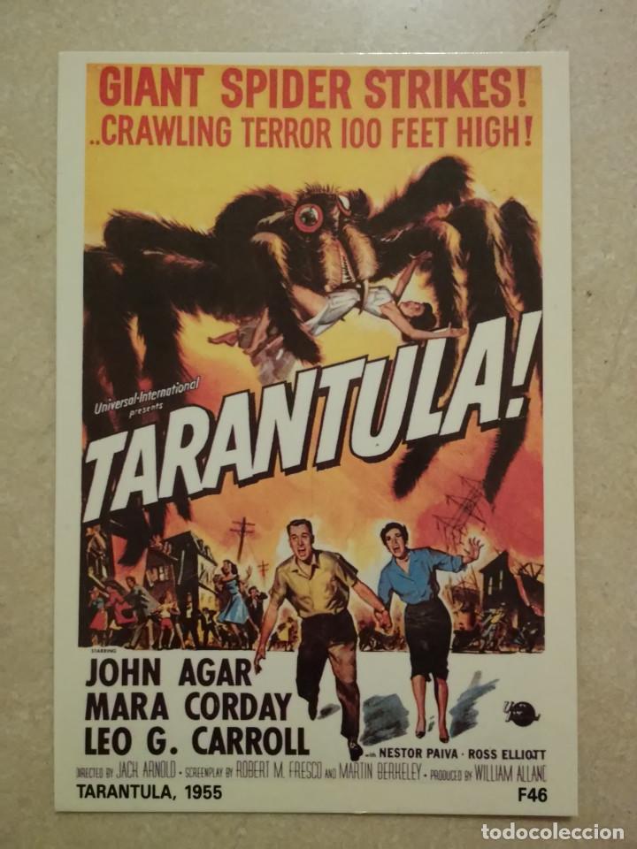 Cine: POSTAL -10*15 - TARANTULA - CIENCIA FICCION - TERROR