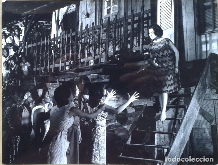Cine: SAMBA. FOTO 18X24. SARA MONTIEL