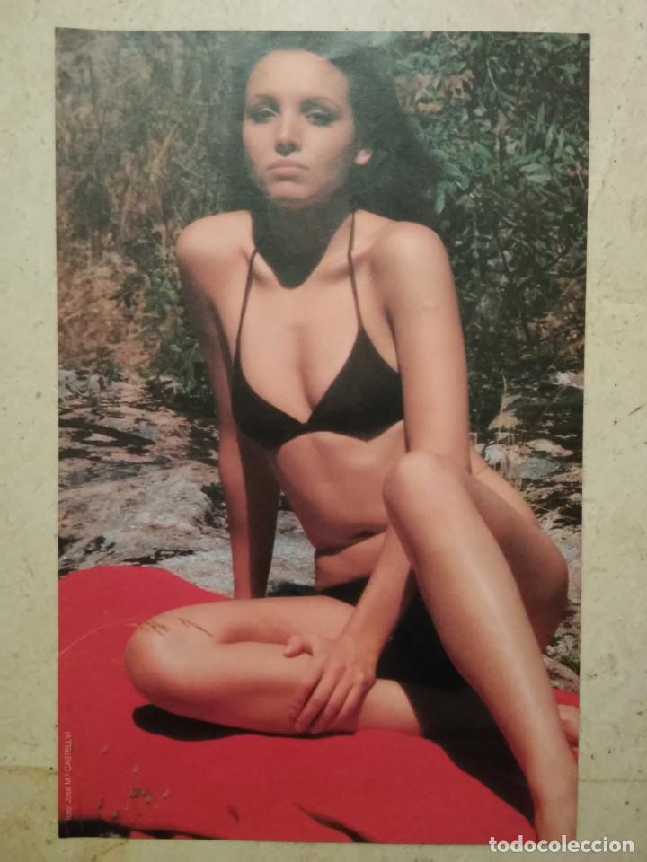 Cine: FICHA COLECCIONABLE -A4- ANA BELEN