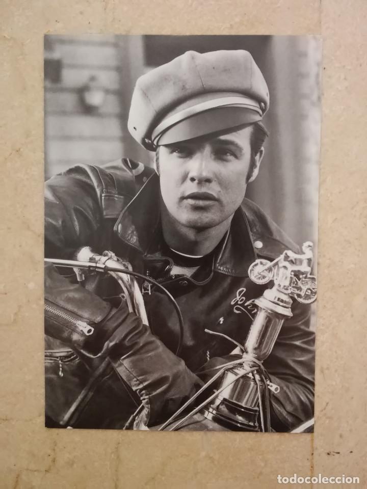 Cine: TARJETA PAPEL -10*15- MARLON BRANDO