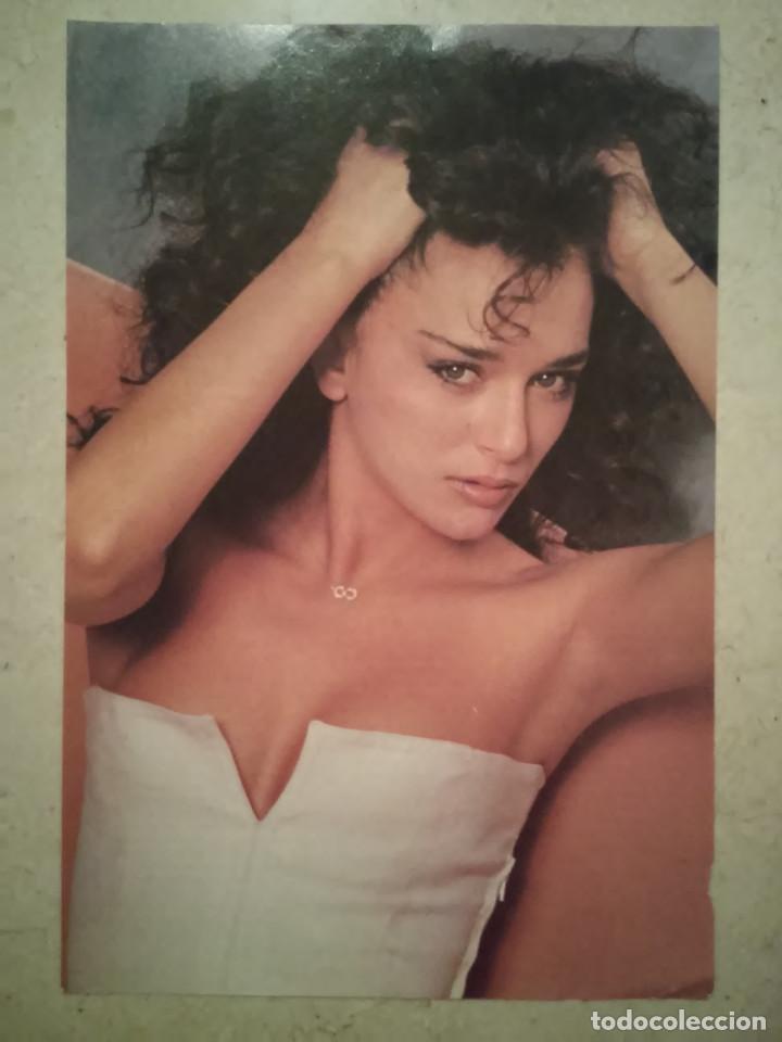 Cinema: LAMINA ACARTONADA -A4- VALERIA GOLINO