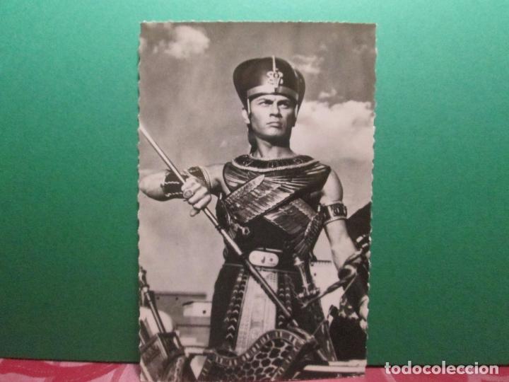 Cinema: YUL BRYNNER