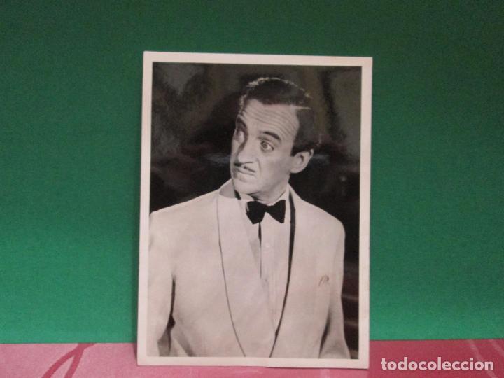Cinema: DAVID NIVEN