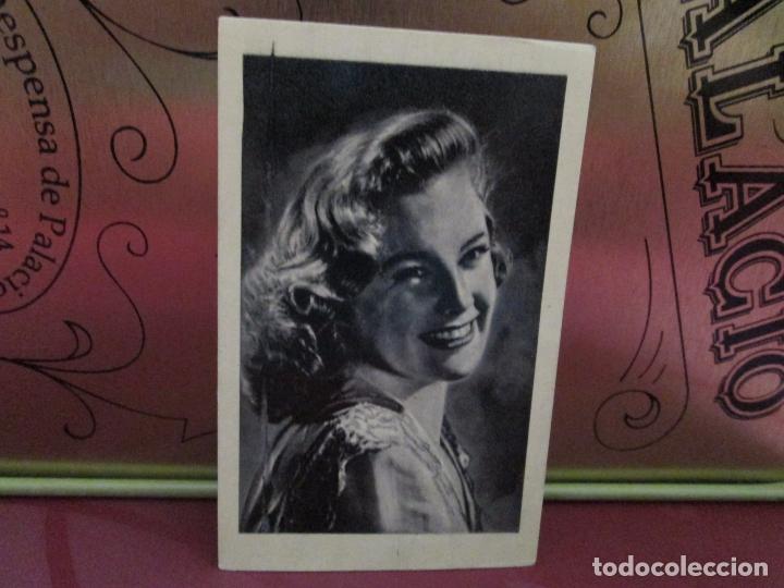 Cinema: JUNE ALLYSON