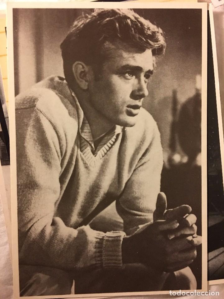 Cine: FOTO POSTAL ACTOR MITO DEL CINE JAMES DEAN