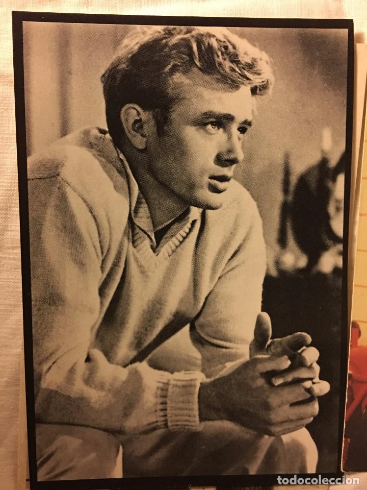 Cine: FOTO POSTAL ACTOR MITO DEL CINE JAMES DEAN