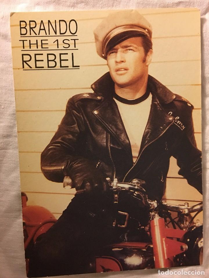 Cine: FOTO POSTAL ACTOR MITO DEL CINE MARLON BRANDO