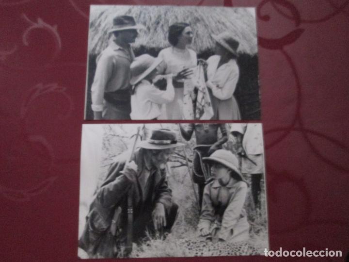 Cinema: LOS ARBOLES DE THIKA (DAVID ROBB, ETC.) SERIE TV (LOTE DE 2 FOTOS)
