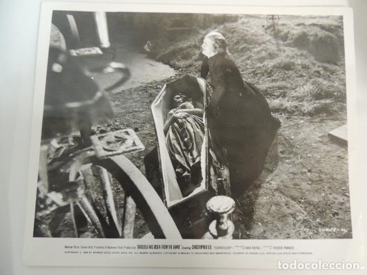 Cine: dracula vuelve de la tumba - foto original b/n  freddie francis hammer film