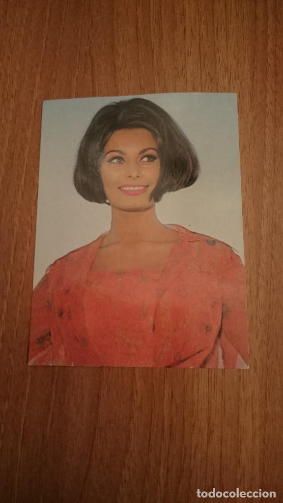 Cine: POSTAL SOFIA LOREN. OSCARCOLOR