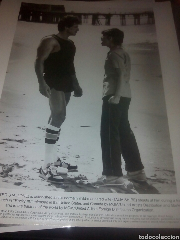 Cine: Foto 24 x 20 sylvester stallone