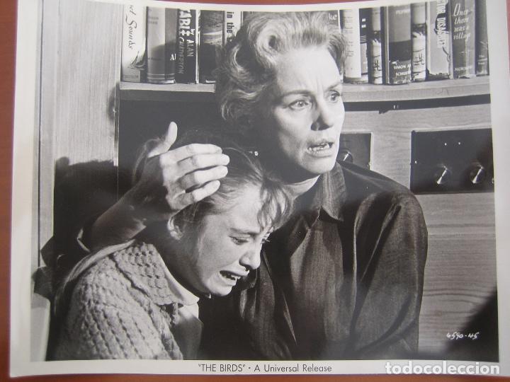 Cine: los pajaros the birds alfred hitchcock jessica tandy foto americana original del estreno