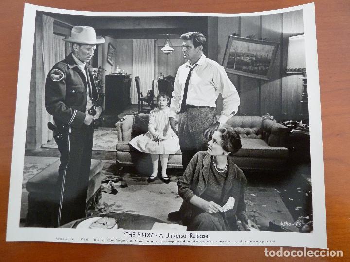 Cine: los pajaros the birds alfred hitchcock rod taylor foto americana original del estreno