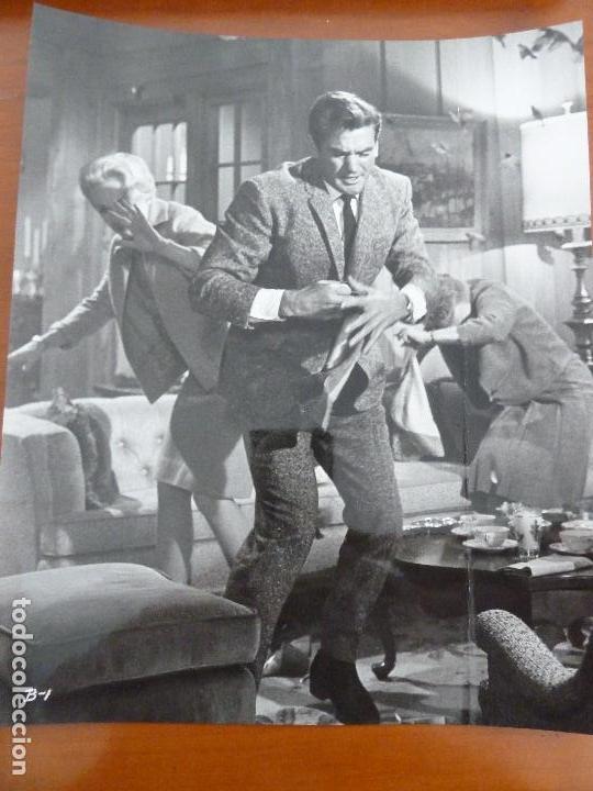 Cine: los pajaros the birds alfred hitchcock rod taylor tippi hedren foto americana original del estreno