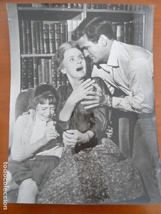 Cine: los pajaros the birds alfred hitchcock rod taylor jessica tandy foto espa&ntilde;ola original del estreno