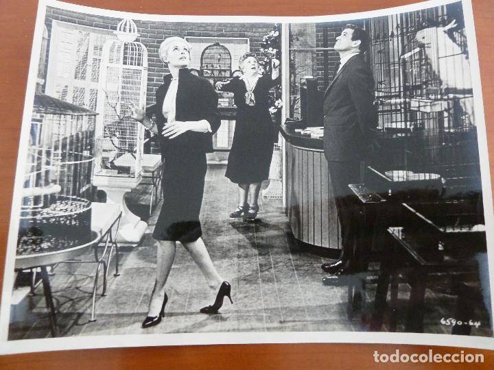 Cine: los pajaros the birds alfred hitchcock rod taylor tippi hedren foto espa&ntilde;ola original del estreno