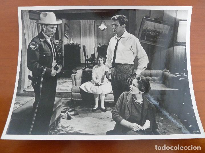 Cine: los pajaros the birds alfred hitchcock rod taylor jessica tandy foto espa&ntilde;ola original del estreno