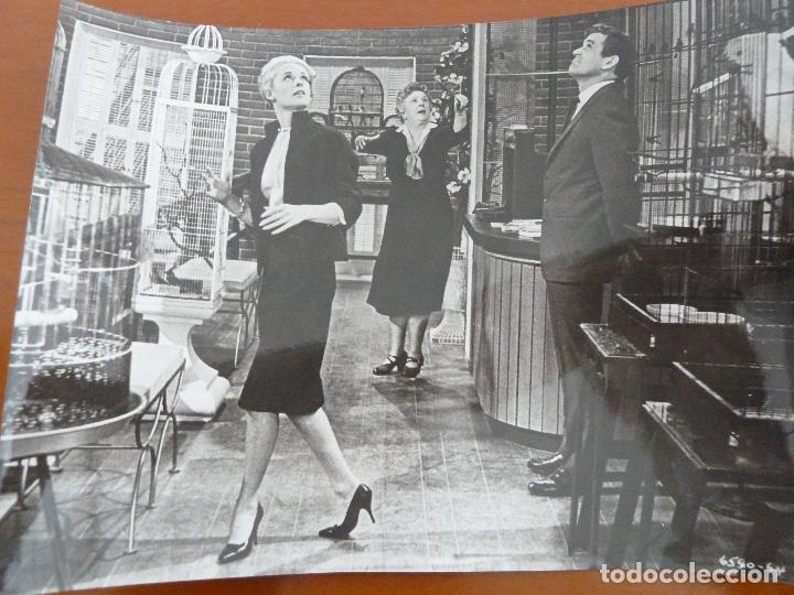 Cine: los pajaros the birds alfred hitchcock rod taylor tippi hedren foto espa&ntilde;ola original del estreno