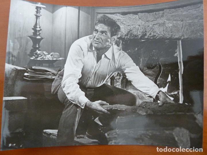 Cine: los pajaros the birds alfred hitchcock rod taylor foto espa&ntilde;ola original del estreno