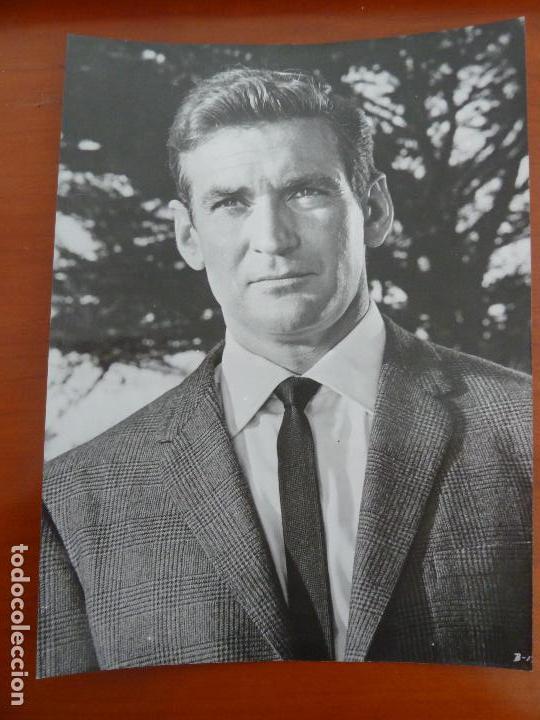 Cine: los pajaros the birds alfred hitchcock rod taylor foto espa&ntilde;ola original del estreno