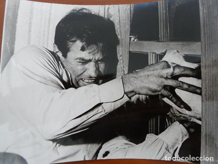 Cine: los pajaros the birds alfred hitchcock rod taylor foto espa&ntilde;ola original del estreno