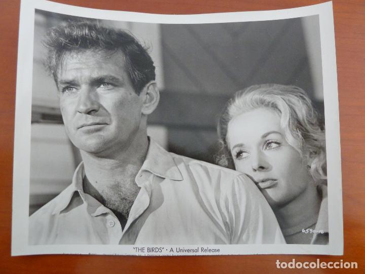 Cine: los pajaros the birds alfred hitchcock rod taylor tippi hedren foto americana original del estreno