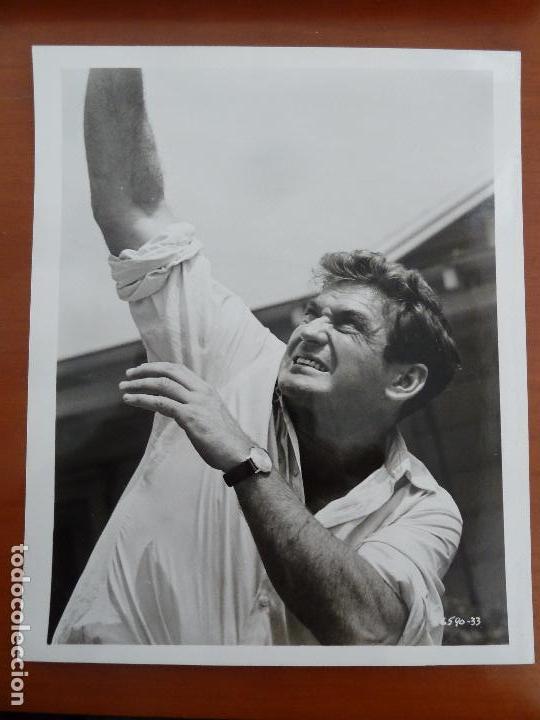 Cine: los pajaros the birds alfred hitchcock rod taylor foto americana original del estreno