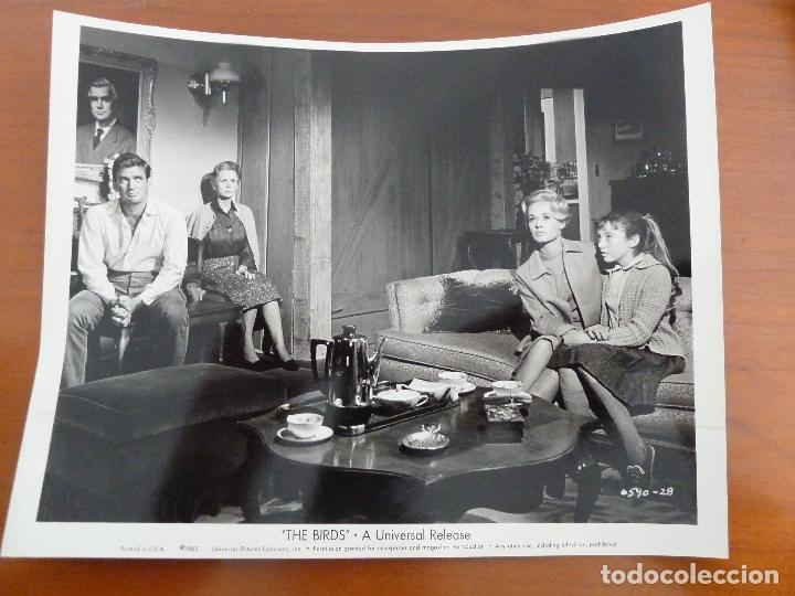 Cine: los pajaros the birds alfred hitchcock rod taylor tippi hedren foto americana original del estreno