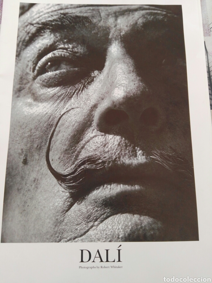 Cine: Gran Reportaje fotos poster Dali