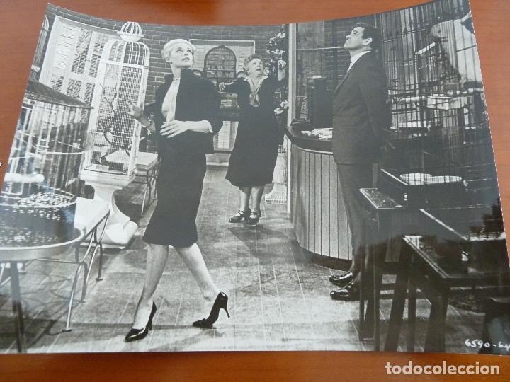 Cine: interesante foto original del estreno de la pelicula los pajaros the birds alfred hitchcock