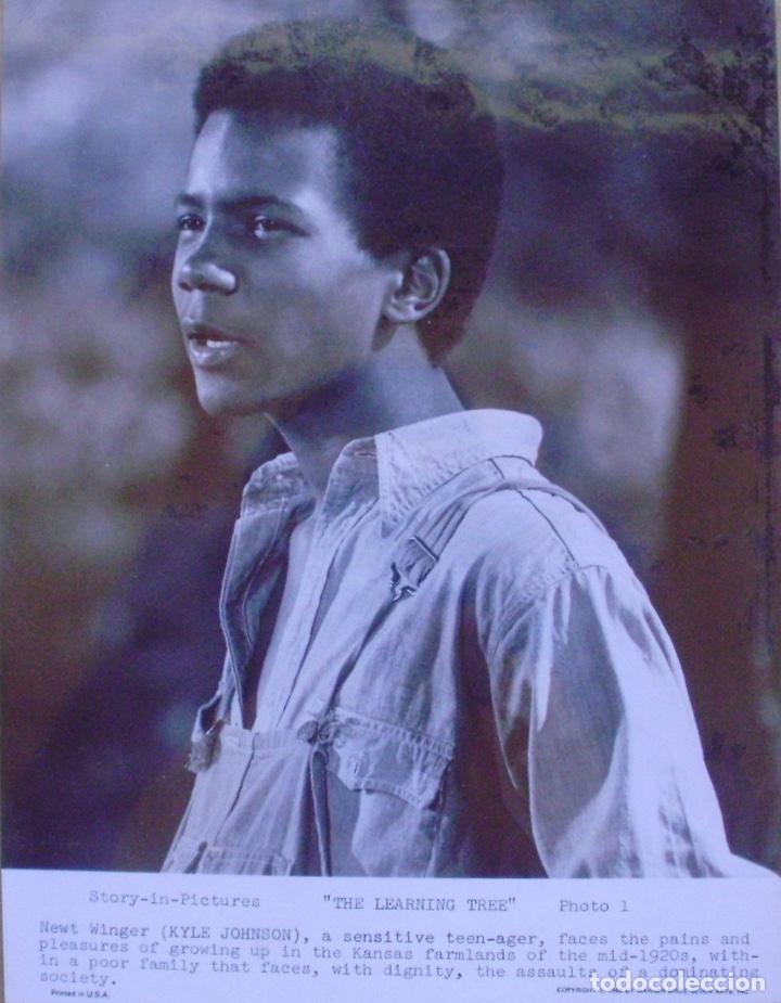 Cinema: Photo Print ,The Learning Tree, Story-in-Pictures, Photo 1, U.S.A., 1969