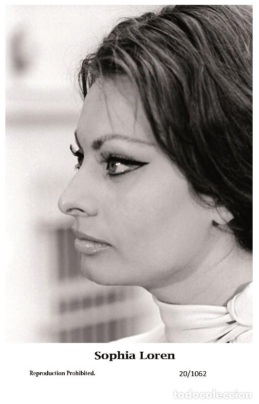 Cine: SOPHIA LOREN - Film star Pin Up PHOTO POSTCARD - 20-1062 Swiftsure Postcard