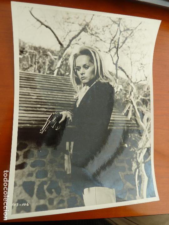 Cine: marnie la ladrona alfred hitchcock tppi hedren foto original estreno