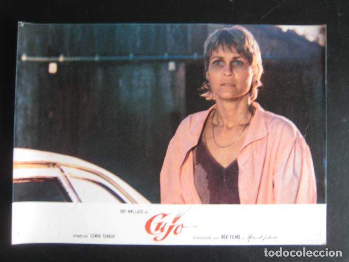 Cine: Cujo - Fotocromo - Stephen King - Lewis Teague - Dee Wallace
