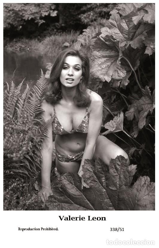 Valerie Leon Film Star Pin Up Photo Postcard Verkauft Durch Direktverkauf 117415423