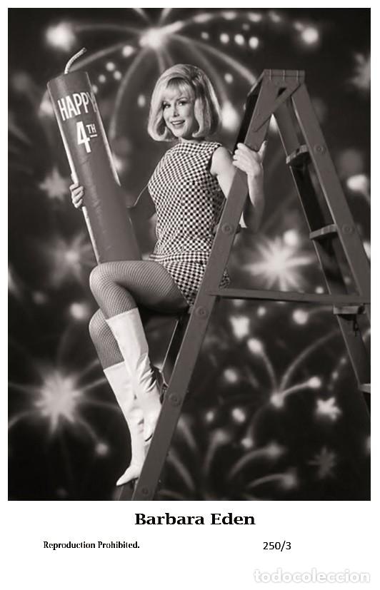 Barbara Eden Film Star Pin Up Photo Postcard Comprar Fotos Y