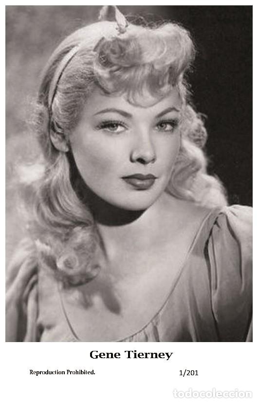 Kino: GENE TIERNEY - Film star Pin Up PHOTO POSTCARD - 1-201 Swiftsure Postcard
