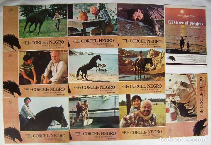 Kino: EL CORCEL NEGRO de Francis ford Coppola. 11 FOTOCROMOS 1980.