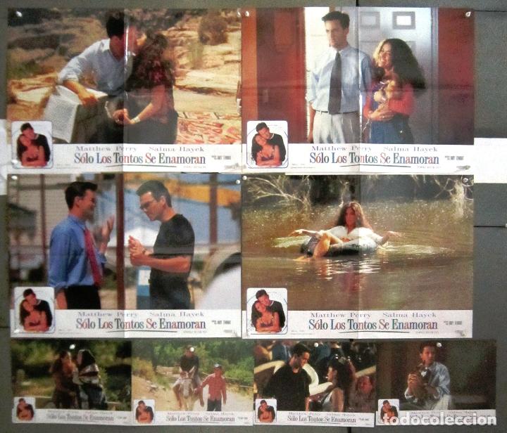 Cinema: YQ66 SOLO LOS TONTOS SE ENAMORAN SALMA HAYEK MATTHEW PERRY SET COMPLETO 8 FOTOCROMOS ORIG ESTRENO